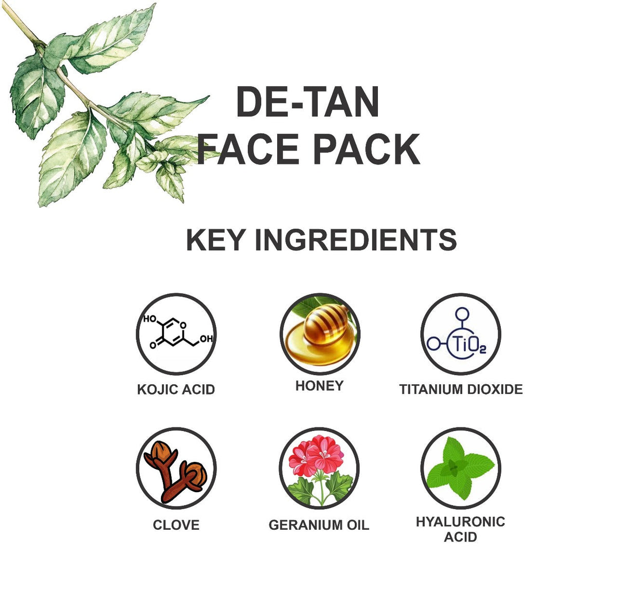 https://cdn.shopify.com/s/files/1/0780/8725/8432/files/03_57a9fd7b-cc7c-4209-856f-bd005c5bf525.jpg?v=1755492321