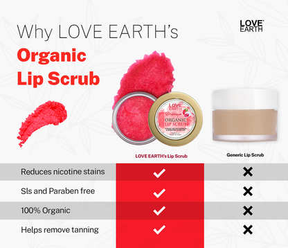 https://cdn.shopify.com/s/files/1/0780/8725/8432/files/004_2f71a960-a3de-4e0a-ae02-525a7187d2b8.png?v=1755492352