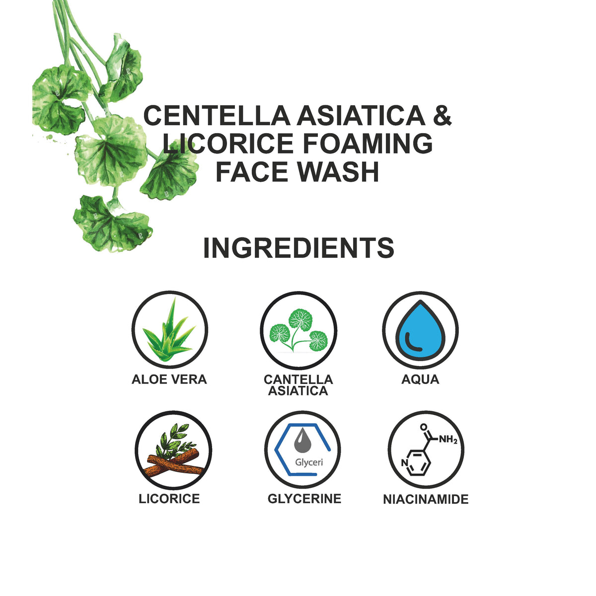https://cdn.shopify.com/s/files/1/0780/8725/8432/files/5.jpg?v=1755492316