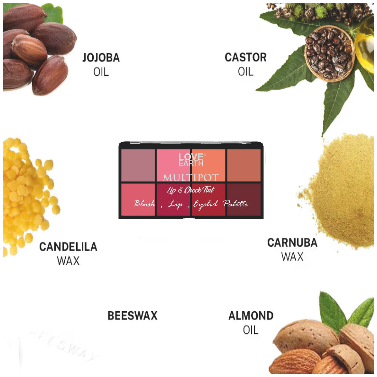 https://cdn.shopify.com/s/files/1/0780/8725/8432/files/Blush_Lips_EyelidPalette_Page_12.jpg?v=1755077460