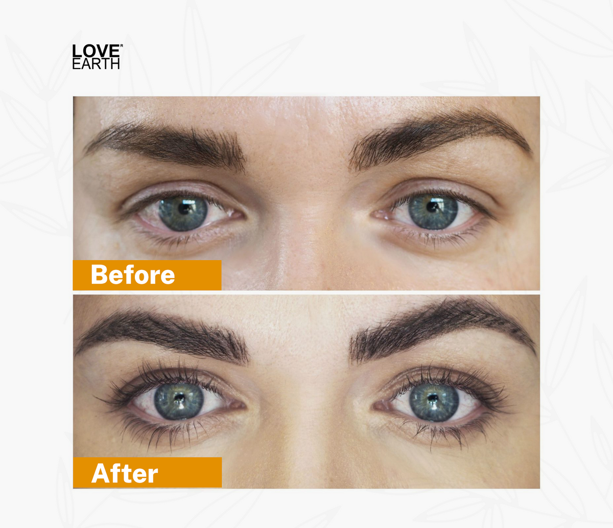 https://cdn.shopify.com/s/files/1/0780/8725/8432/files/NYLRTH0000041_6.png?v=1755077516